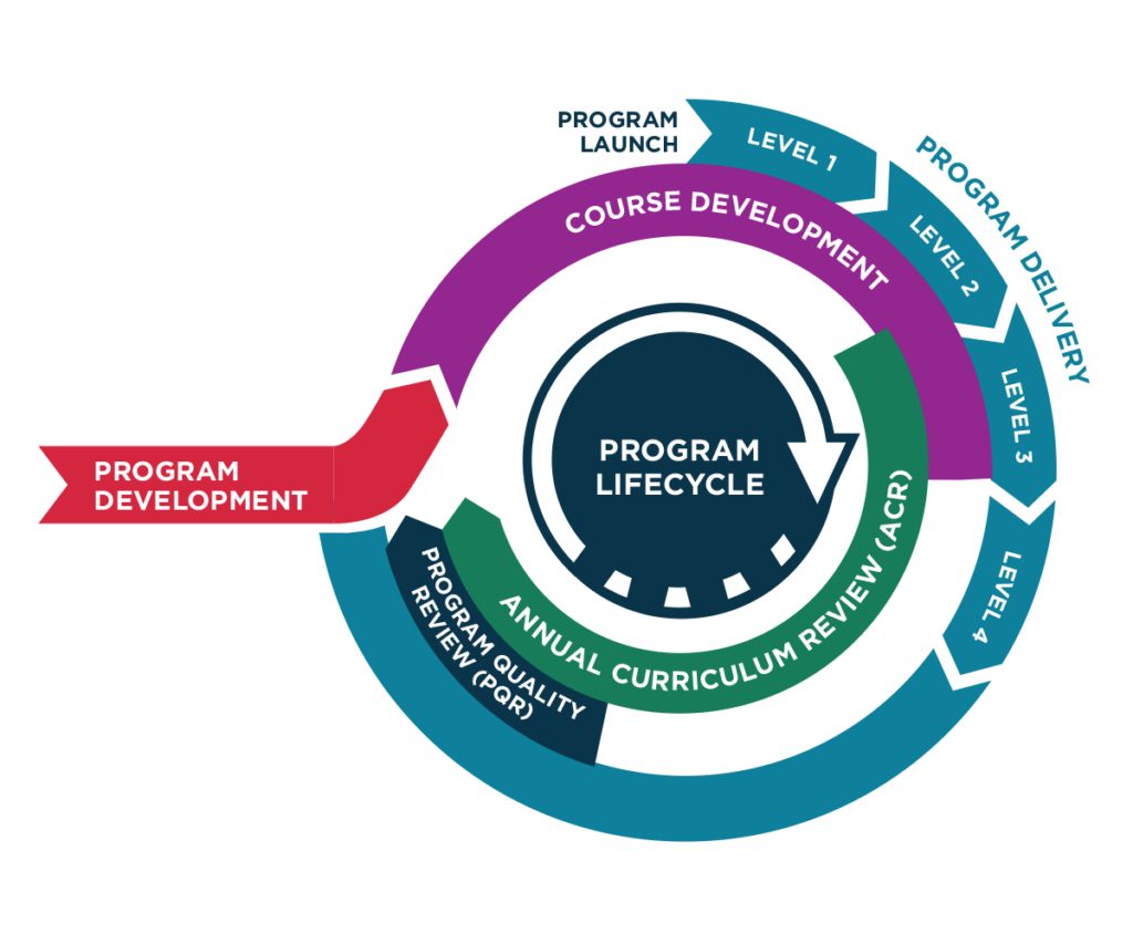 Infographic showing where Course Development fits within the Program Lifecycle. Generally courses are developed level by level at least 1 semester in advance of running.