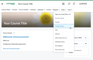 Image of a Brightspace course page showing the "College Surveys" tab under the Tools menu