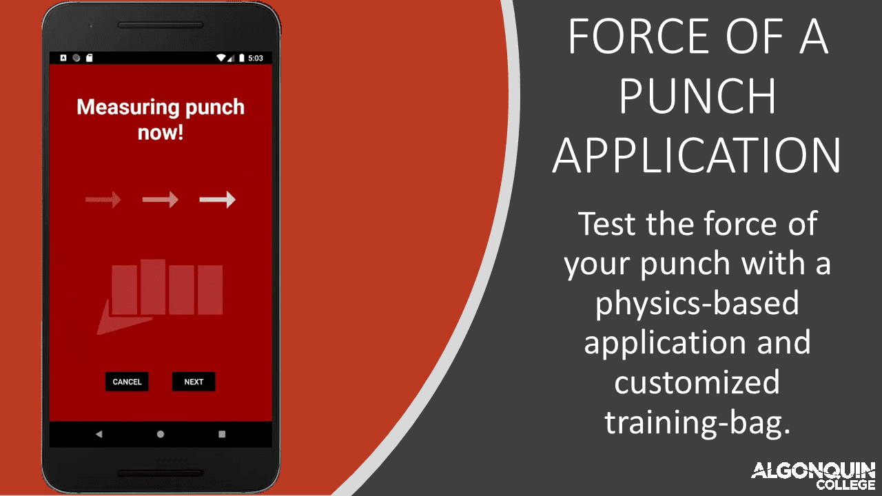 Force of a Punch Application