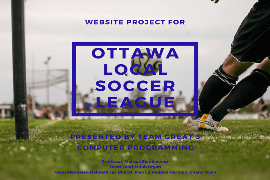 Ottawa local soccer league banner. 