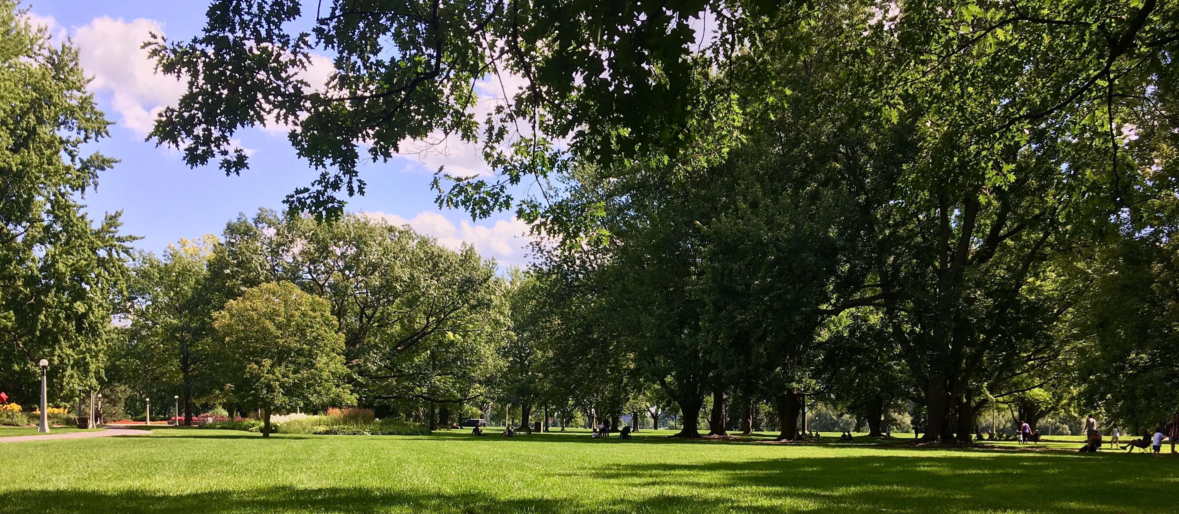 Photo of a green and sunny park in Ottawa