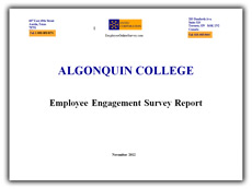 Employee Engagement Survey Report - PDF file.