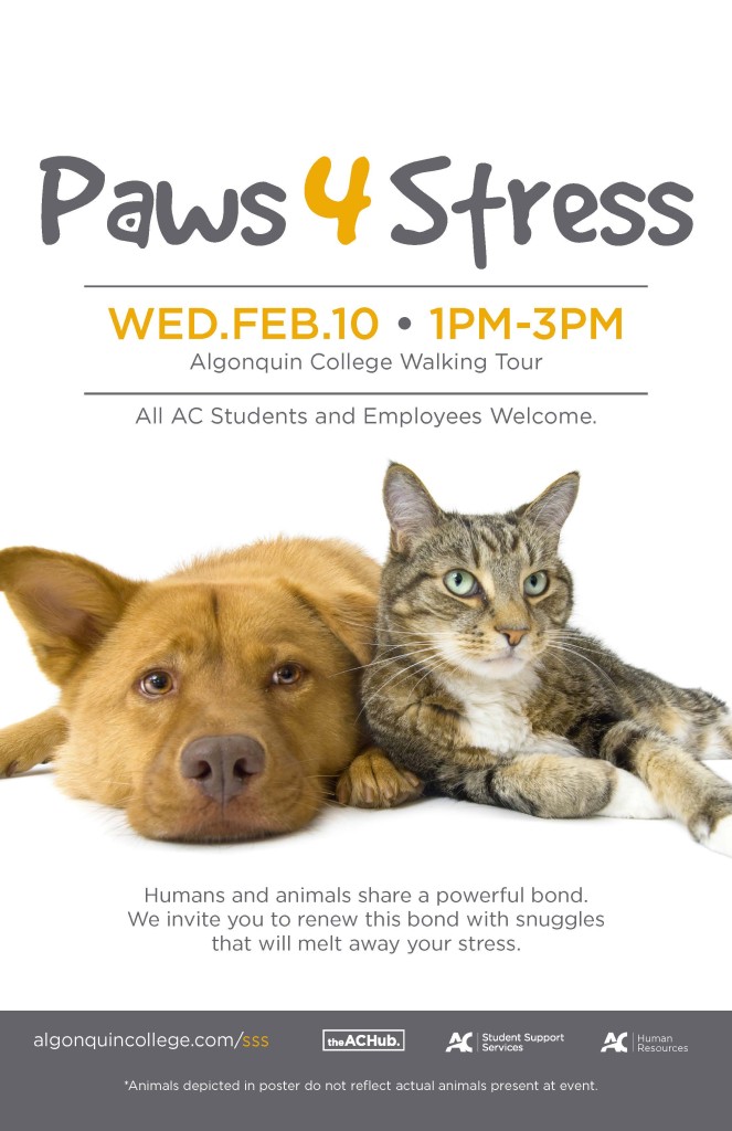Paws4Stress February 2016