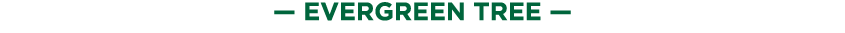 — evergreen tree —