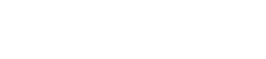 Police & Public Safety Institute