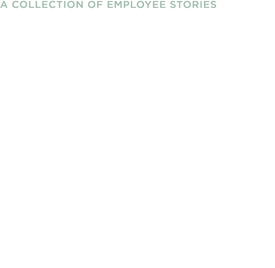 A Collection of Employee Stories
