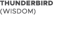 THUNDERBIRD (WISDOM)
