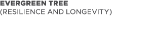 EVERGREEN TREE (RESILIENCE AND LONGEVITY)