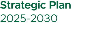 Strategic Plan 2025 2030 
