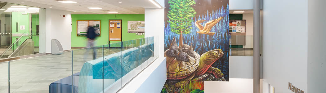 Photo of the mural of Turtle Island at the Ottawa Campus.