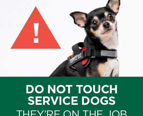 Do not touch service dogs - they're on the job. Graphic with a service dog. 