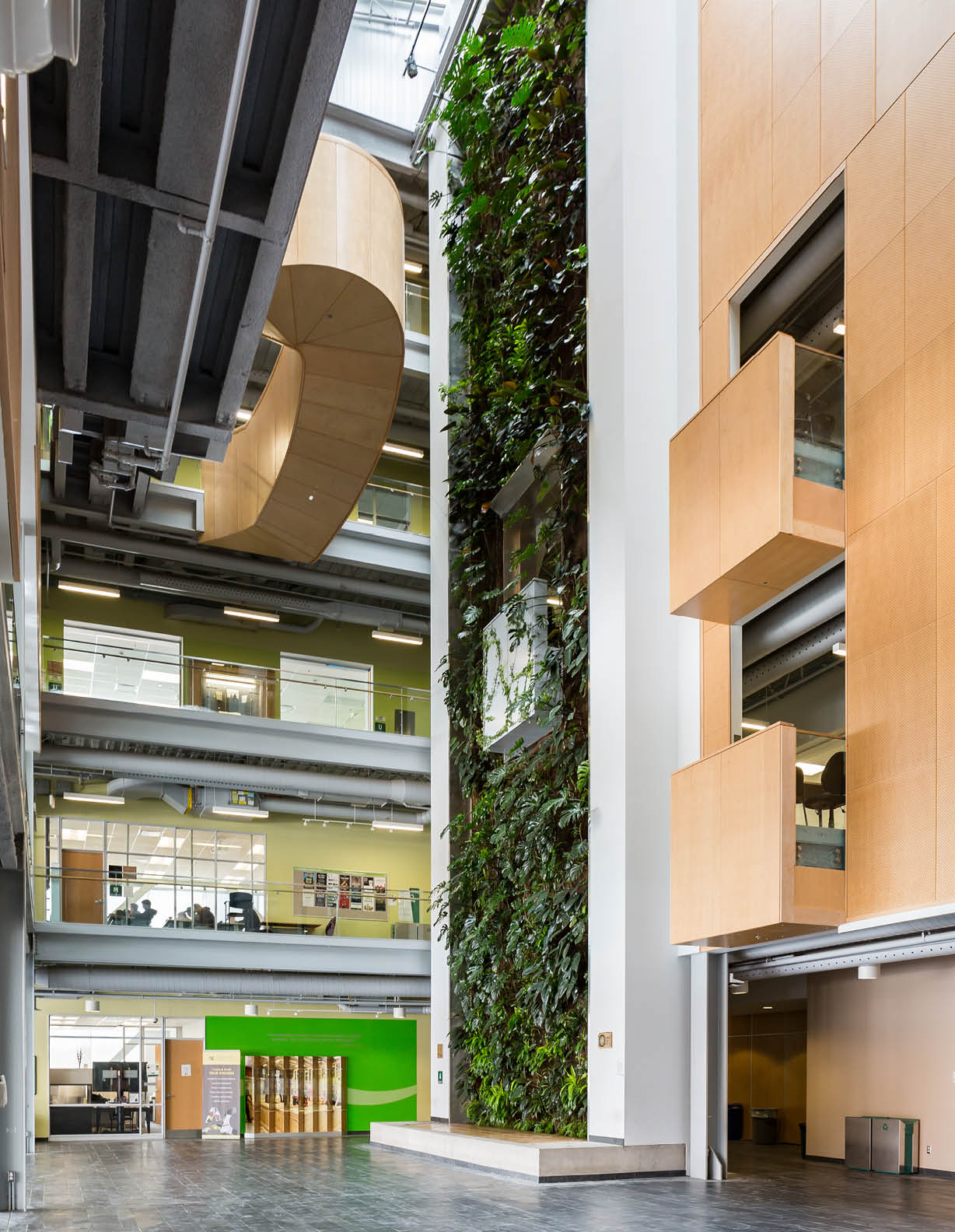 Photo of the green wall in the ACCE Building at the Ottawa campus.