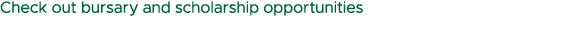 Check out bursary and scholarship opportunities