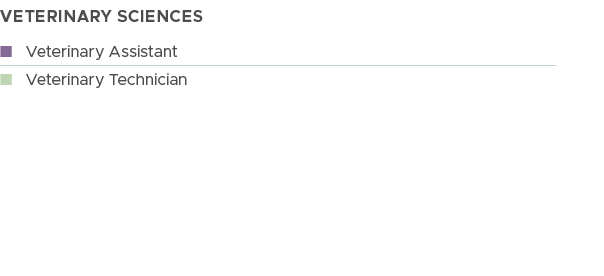 VETERINARY SCIENCES,n Veterinary Assistant,n Veterinary Technician 