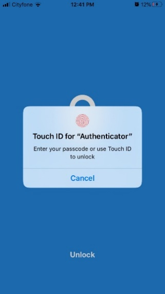 image showing the unlock screen on the app