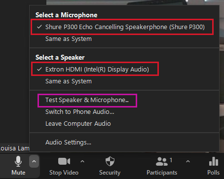 Microphone selection menu in Zoom
