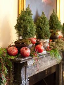 Winter Interiorscaping with Greenery