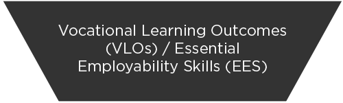 Vocational Learning Outcomes (VLOs)