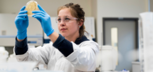 female student in lab gear working in a lab holiding up a petrie dish to closely examine contents