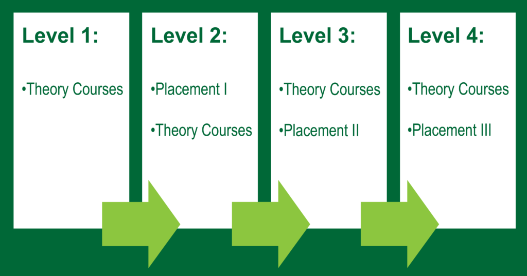 Four Levels of placement, Level 1: Theory Courses.  Level 2: Placement 1, Theory Courses.  Level 3: Placement 2, Theory Courses.  Level 4:  Placement 3, Theory Courses