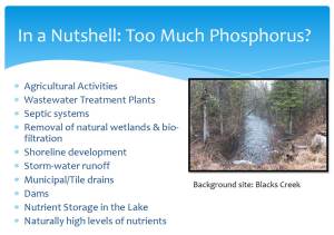 Phosphorus slide from Science Night