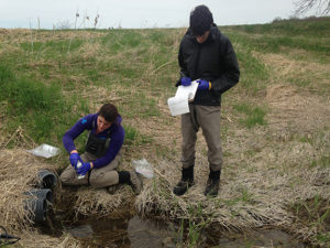 Two Algonquin College students take water samples as part of a research project.