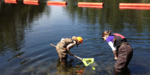 Two Algonquin College students working in a pond as part of an applied research project.