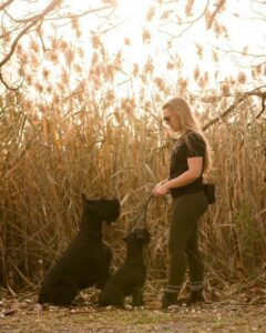 Young woman with sunglasses outside in a field with a big dog and a small dog.